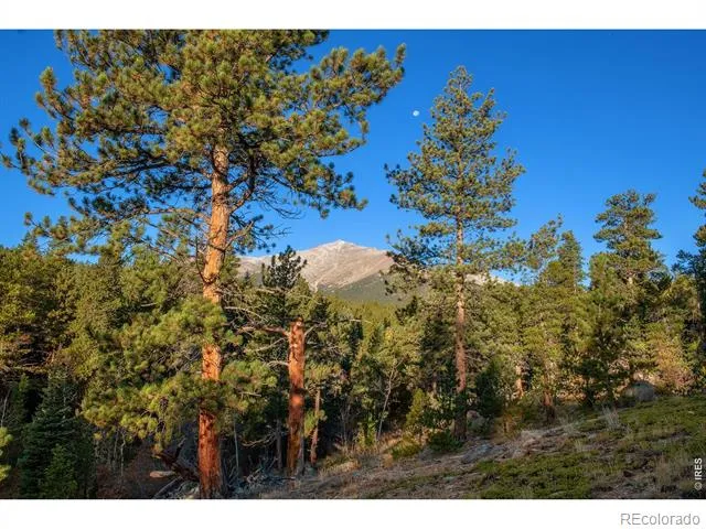 1997 Big Owl Road Allenspark, CO 80510