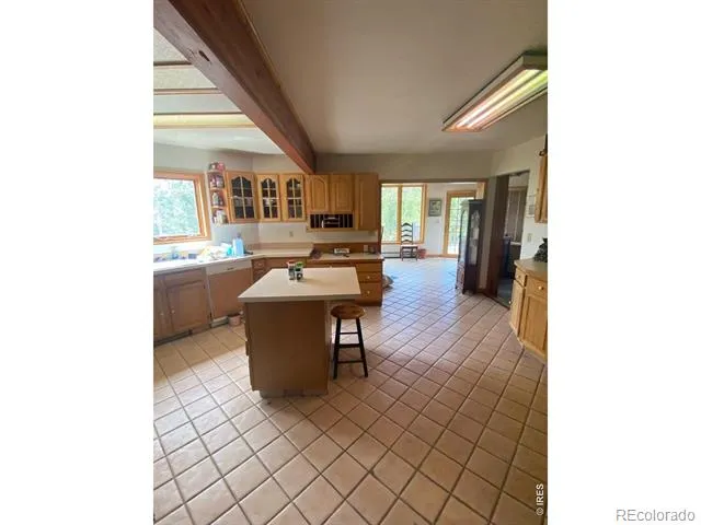 1997 Big Owl Road Allenspark, CO 80510
