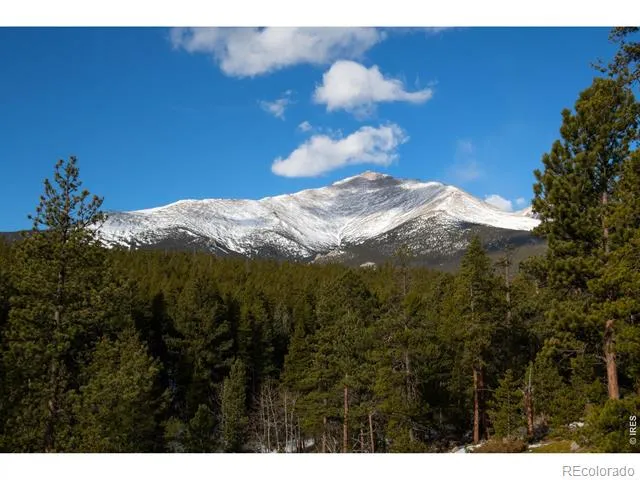 1997 Big Owl Road Allenspark, CO 80510