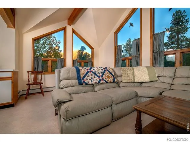 1997 Big Owl Road Allenspark, CO 80510