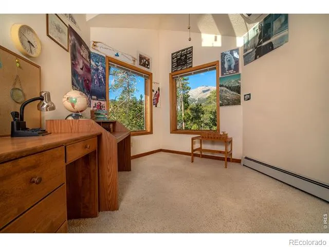 1997 Big Owl Road Allenspark, CO 80510