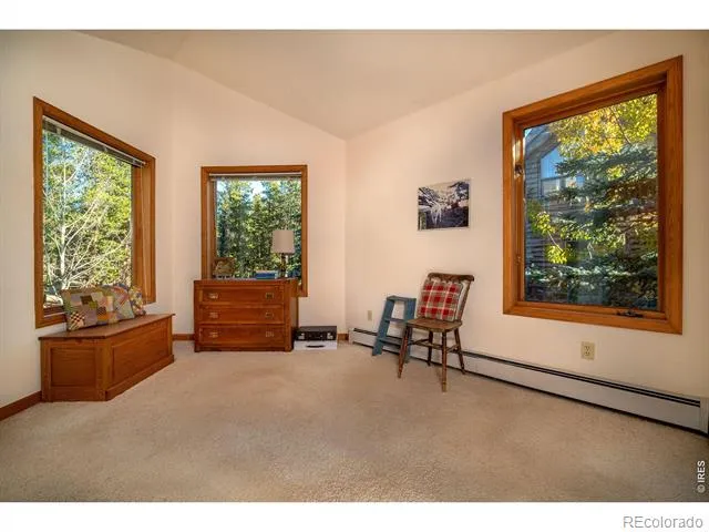 1997 Big Owl Road Allenspark, CO 80510