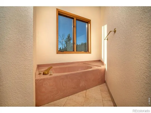 1997 Big Owl Road Allenspark, CO 80510