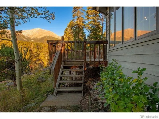 1997 Big Owl Road Allenspark, CO 80510