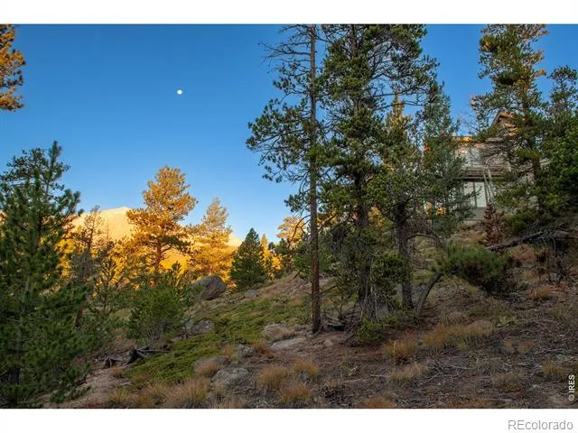 1997 Big Owl Road Allenspark, CO 80510