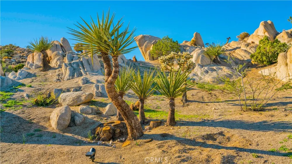 56898 Plaza Del Amigo Yucca Valley, CA 92284