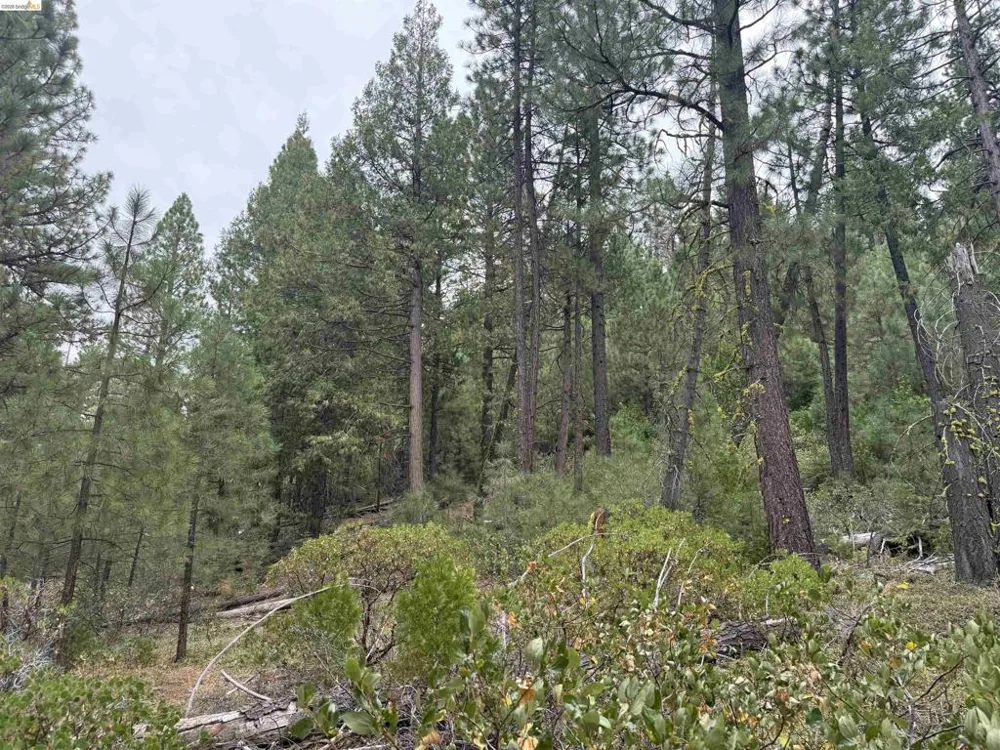 Hillcrest Alturas, CA 96101