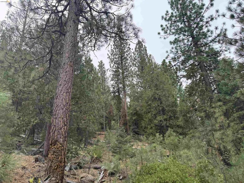 Hillcrest Alturas, CA 96101