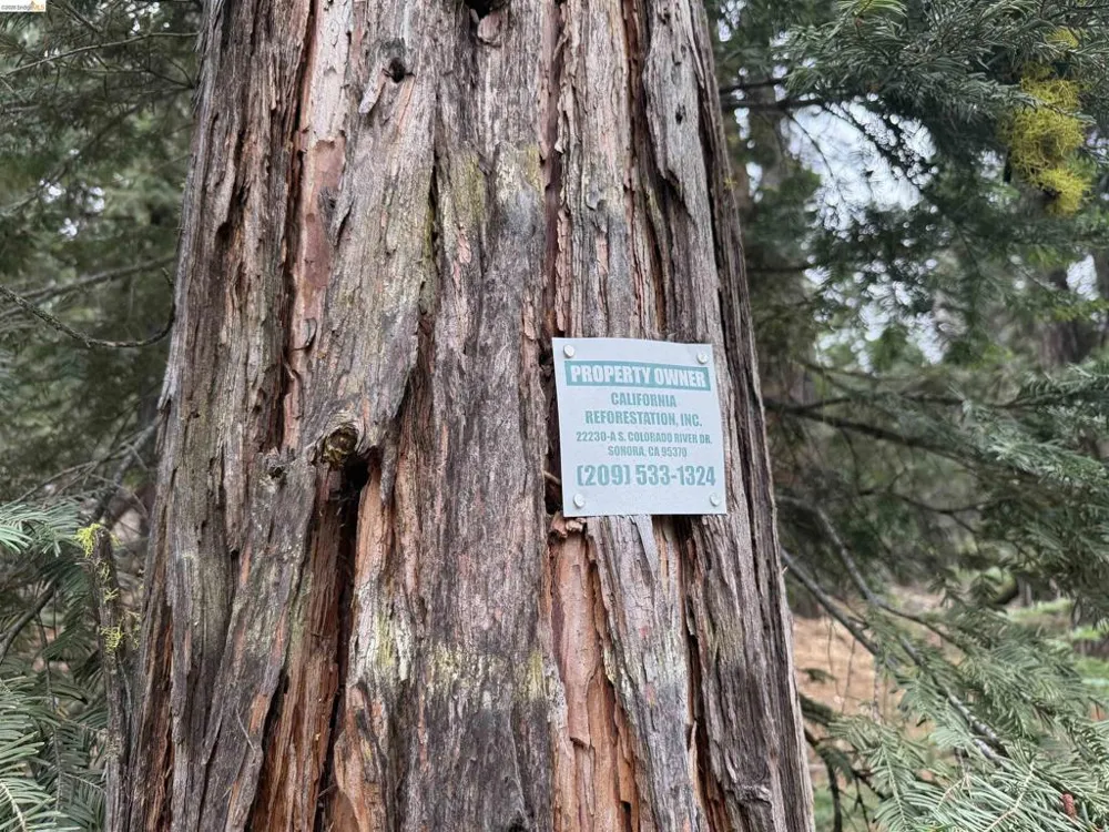 Hillcrest Alturas, CA 96101
