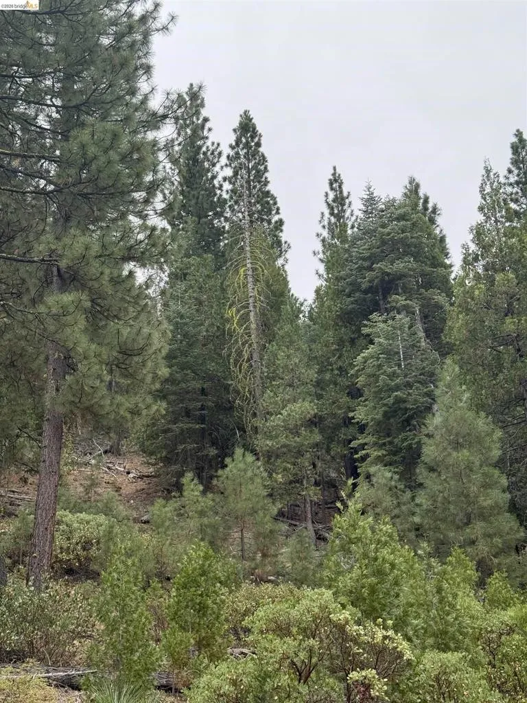 Hillcrest Alturas, CA 96101