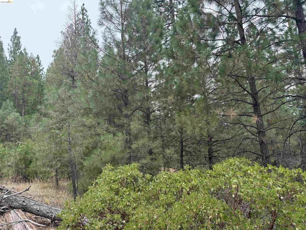 Hillcrest Alturas, CA 96101