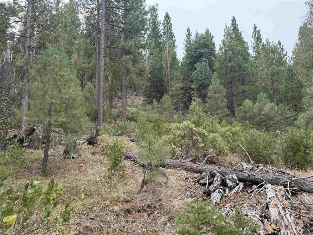 Hillcrest Alturas, CA 96101