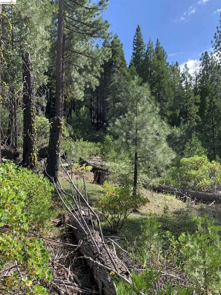 Hillcrest Alturas, CA 96101