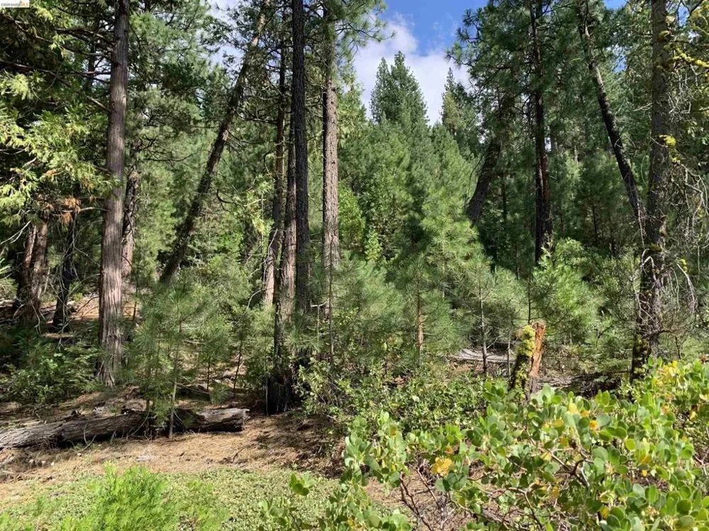 Hillcrest Alturas, CA 96101