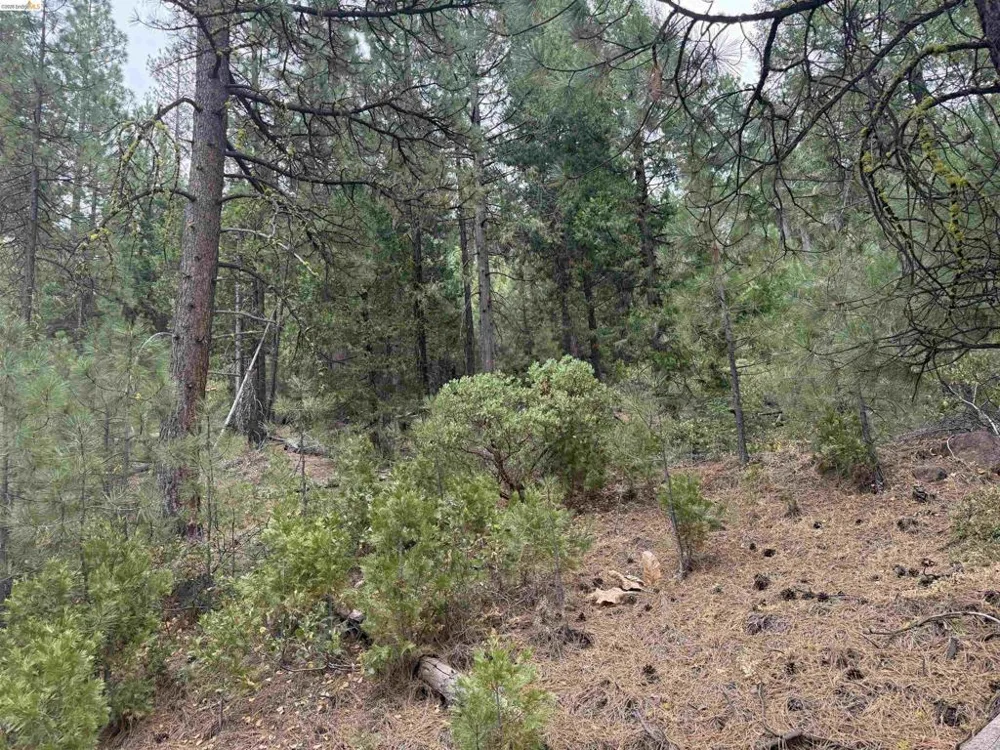 Hillcrest Alturas, CA 96101