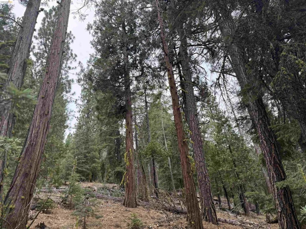 Hillcrest Alturas, CA 96101