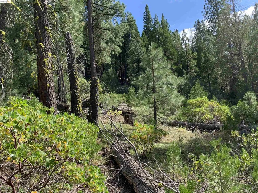 Hillcrest Alturas, CA 96101