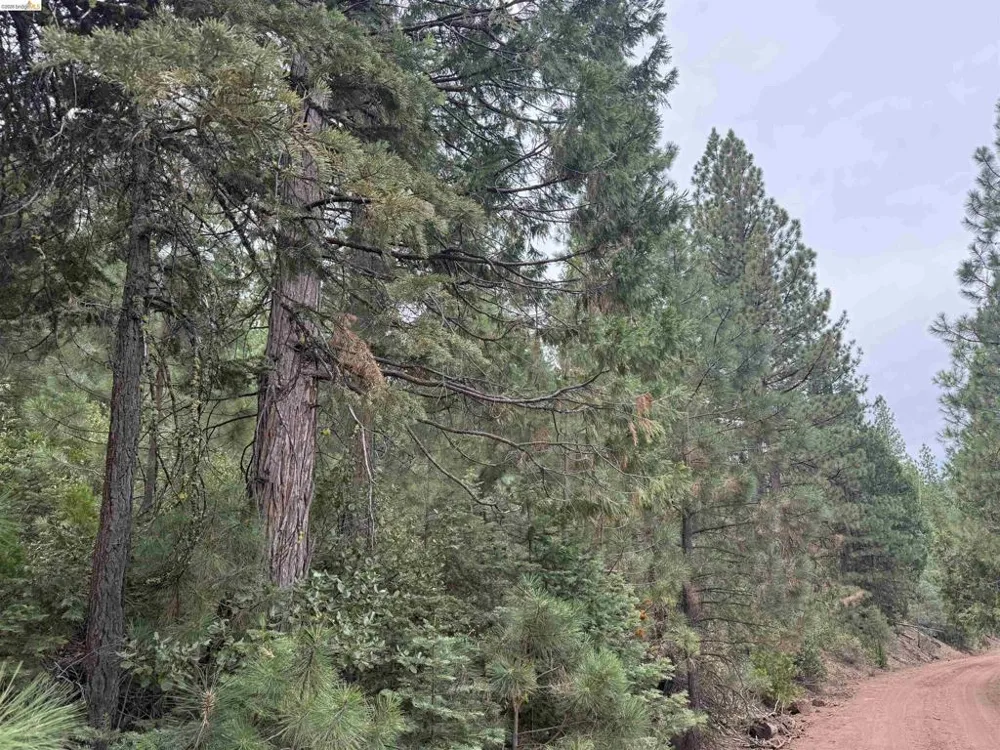 Hillcrest Alturas, CA 96101