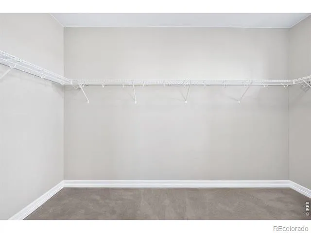 14807 Haley Avenue Parker, CO 80134