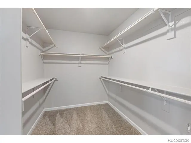 16953 Ballinger Circle Mead, CO 80542