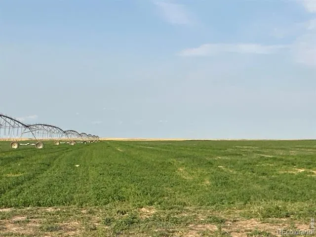 10 PP ROAD Seibert, CO 80834