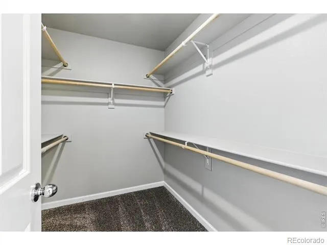 309 Scaup Lane Johnstown, CO 80534