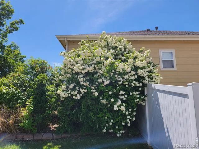 701 62nd Ave Ct Greeley, CO 80634