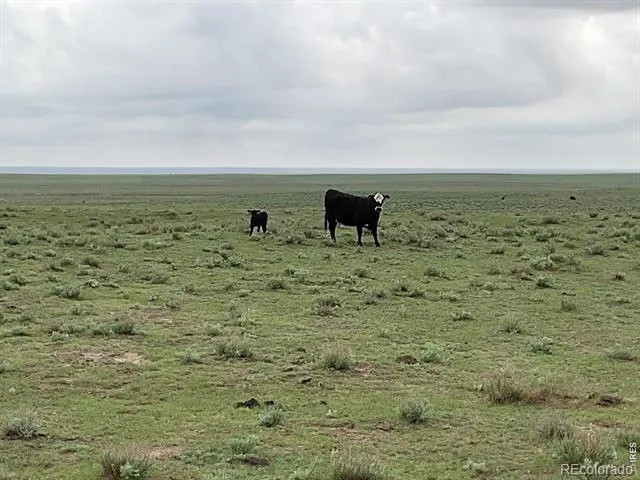 0 Hwy Kit Carson, CO 80825