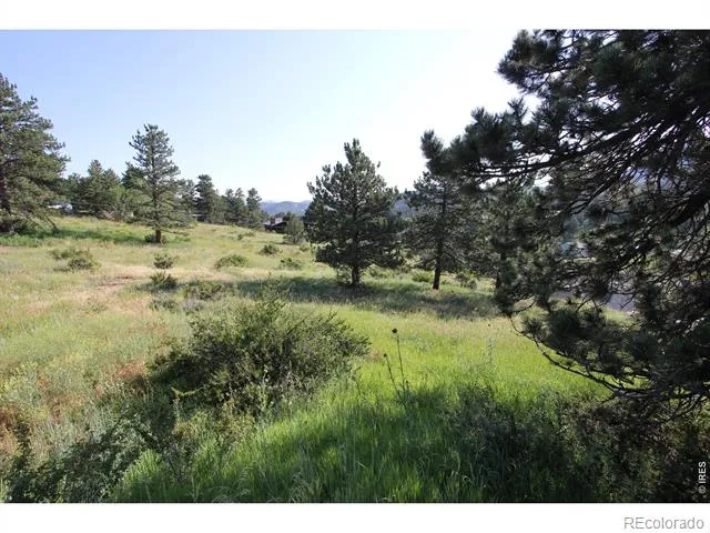 0 Clover Lane Estes Park, CO 80517