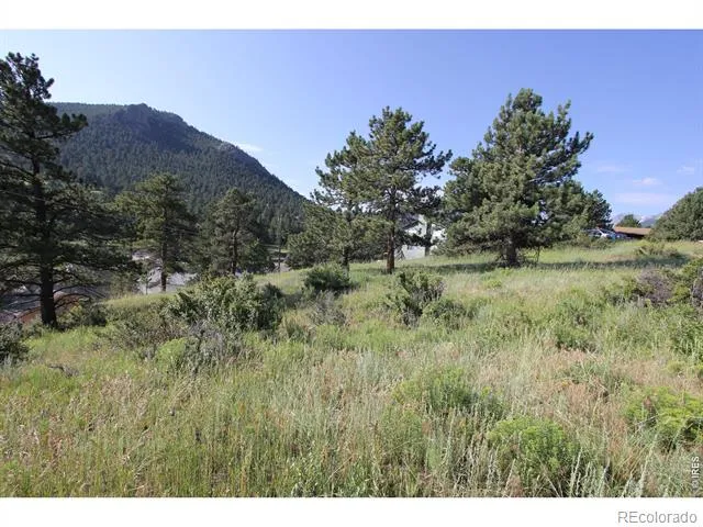 0 Clover Lane Estes Park, CO 80517