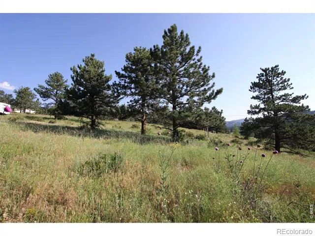 0 Clover Lane Estes Park, CO 80517