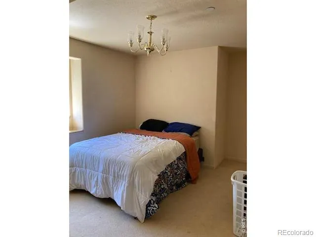 283 Alpine Drive Nederland, CO 80466
