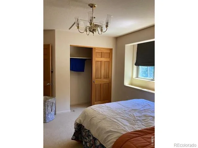 283 Alpine Drive Nederland, CO 80466