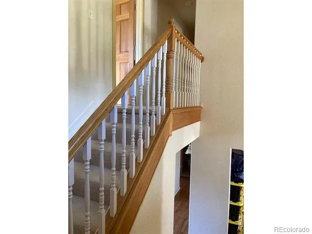 283 Alpine Drive Nederland, CO 80466