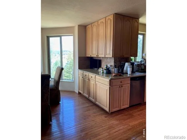 283 Alpine Drive Nederland, CO 80466