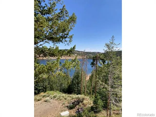 283 Alpine Drive Nederland, CO 80466