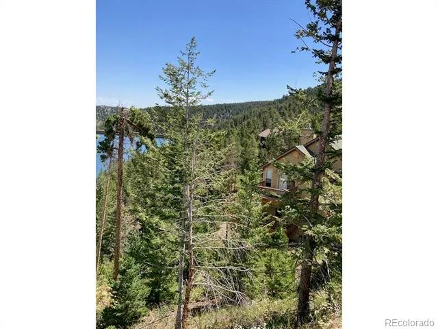 283 Alpine Drive Nederland, CO 80466