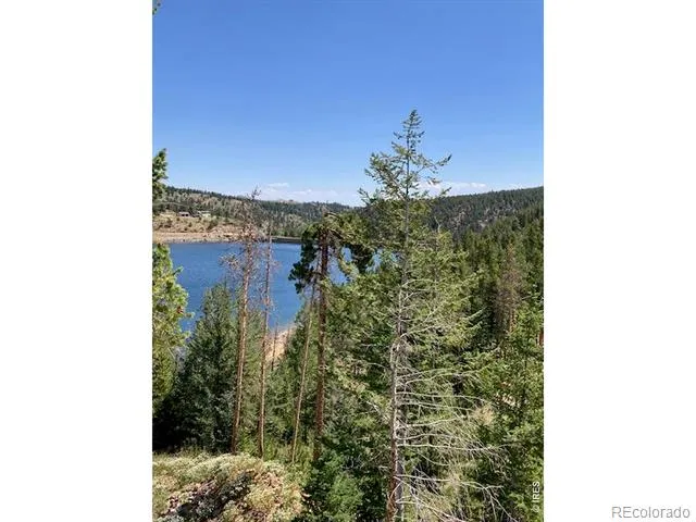 283 Alpine Drive Nederland, CO 80466