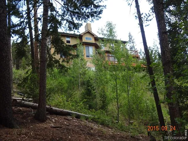 283 Alpine Drive Nederland, CO 80466