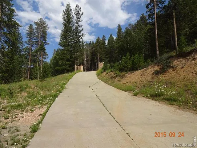 283 Alpine Drive Nederland, CO 80466