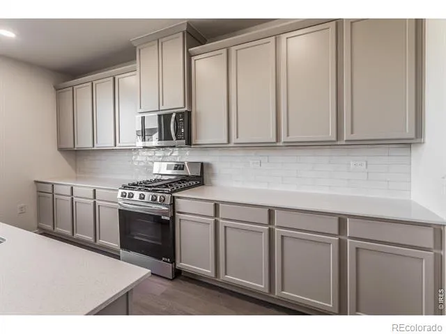 3146 Tourmaline Place Fort Collins, CO 80524