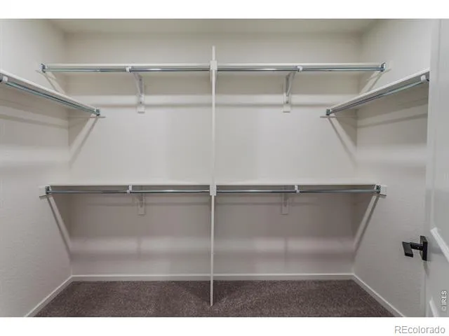 3146 Tourmaline Place Fort Collins, CO 80524