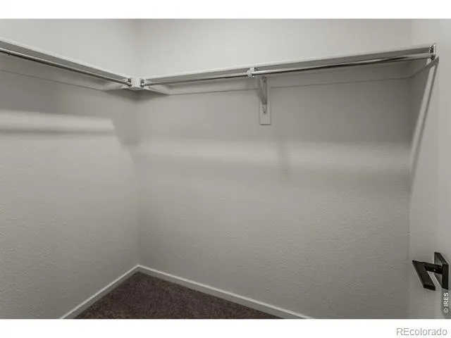 3146 Tourmaline Place Fort Collins, CO 80524