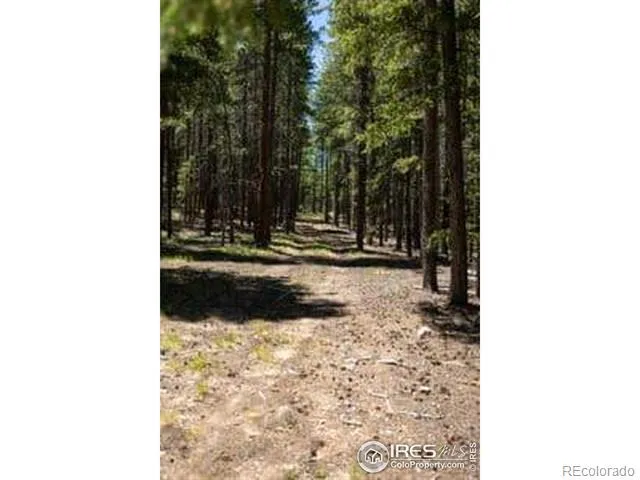 1001 Pactolus Lake Road Black Hawk, CO 80422