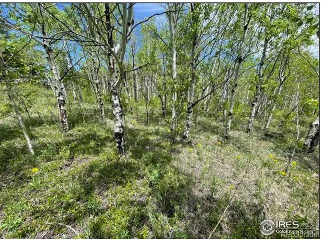 11320 Gold Hill Road Boulder, CO 80302
