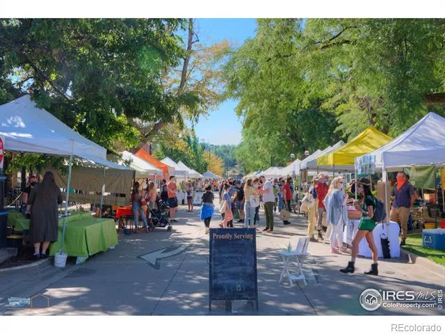 1077 Canyon Boulevard #403 Boulder, CO 80302