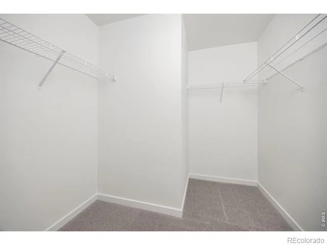 315 Condor Way Johnstown, CO 80534