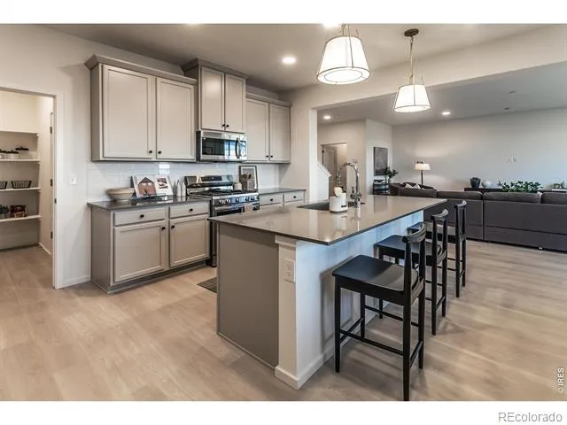 3166 Tourmaline Place Fort Collins, CO 80524