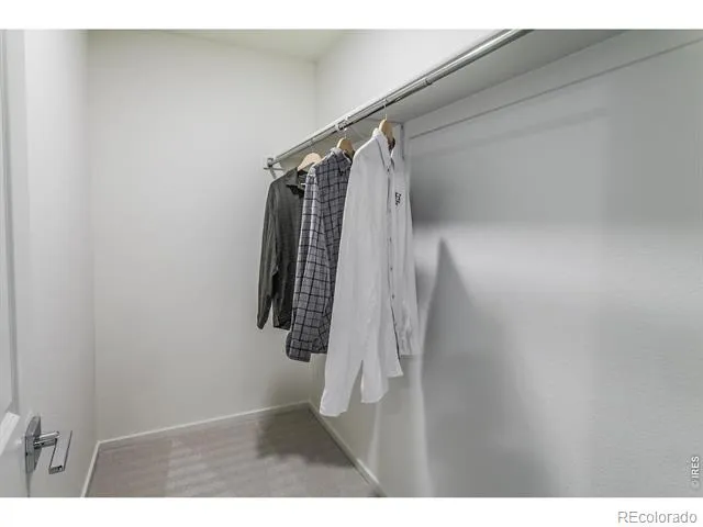 3166 Tourmaline Place Fort Collins, CO 80524
