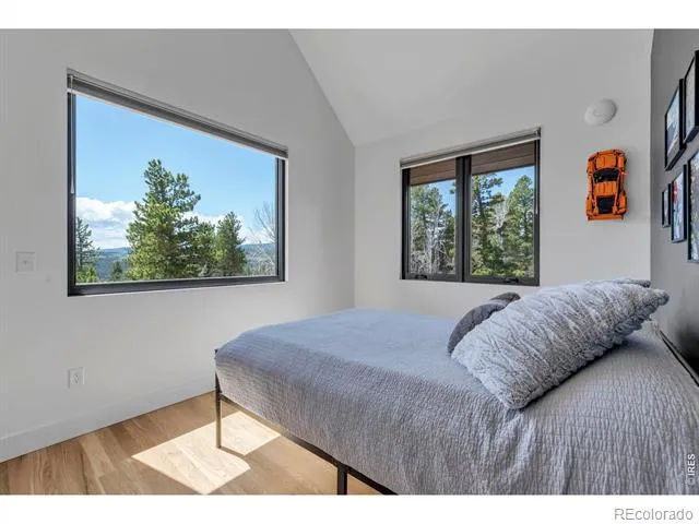 11 Juneau Circle Nederland, CO 80466